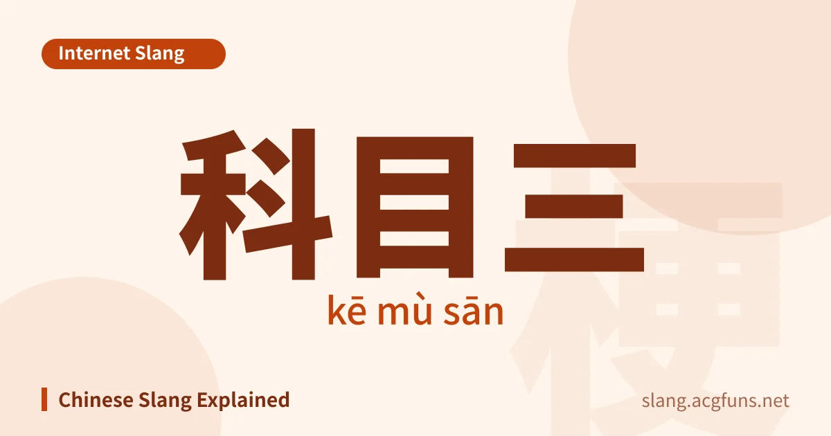 科目三 (kē mù sān)