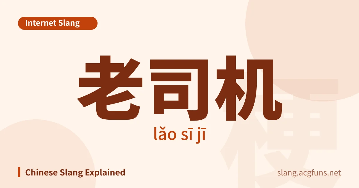 老司机 (lǎo sī jī)