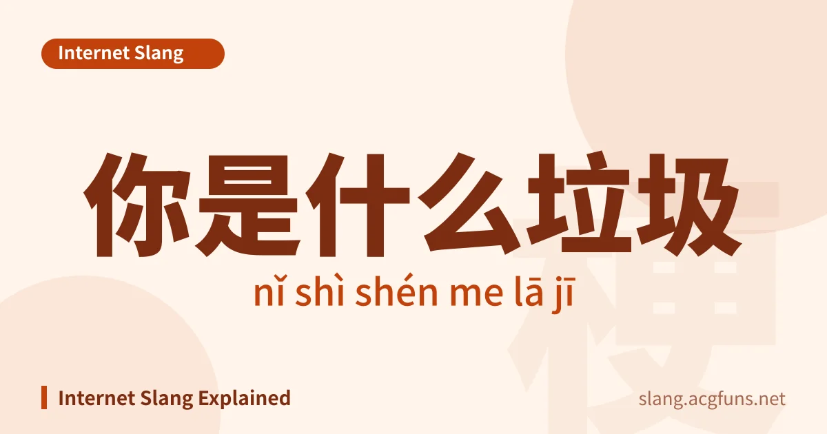 你是什么垃圾 (nǐ shì shén me lā jī)