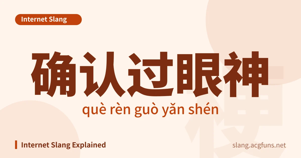 确认过眼神 (què rèn guò yǎn shén)