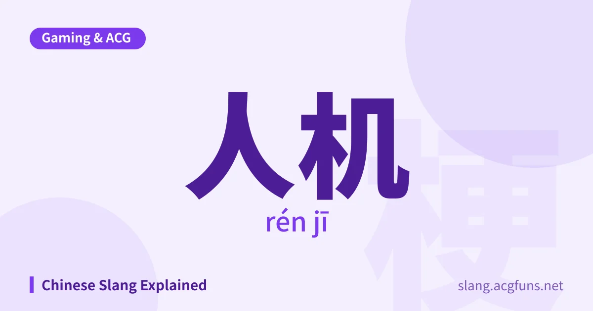人机 (rén jī)