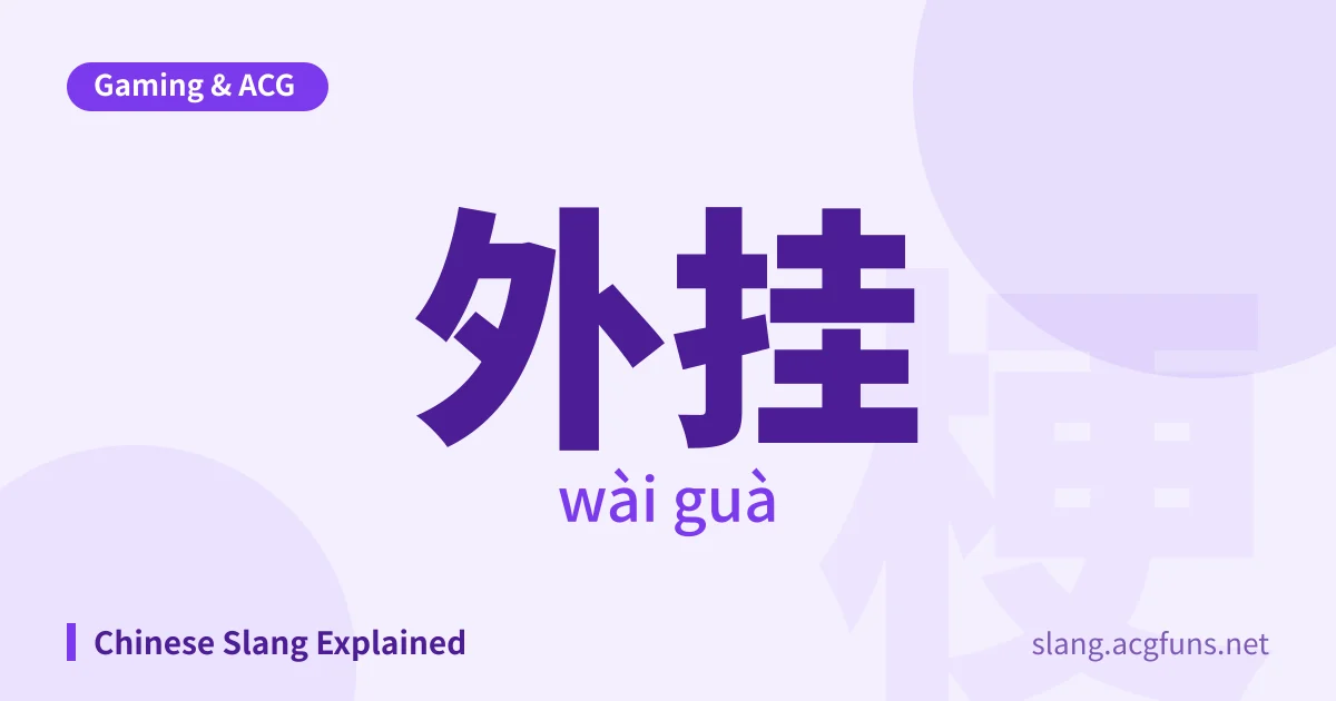 外挂 (wài guà)