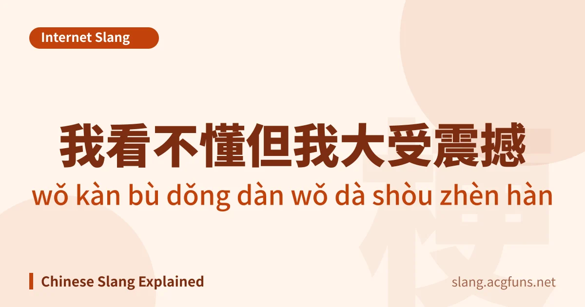 我看不懂但我大受震撼 (wǒ kàn bù dǒng dàn wǒ dà shòu zhèn hàn)