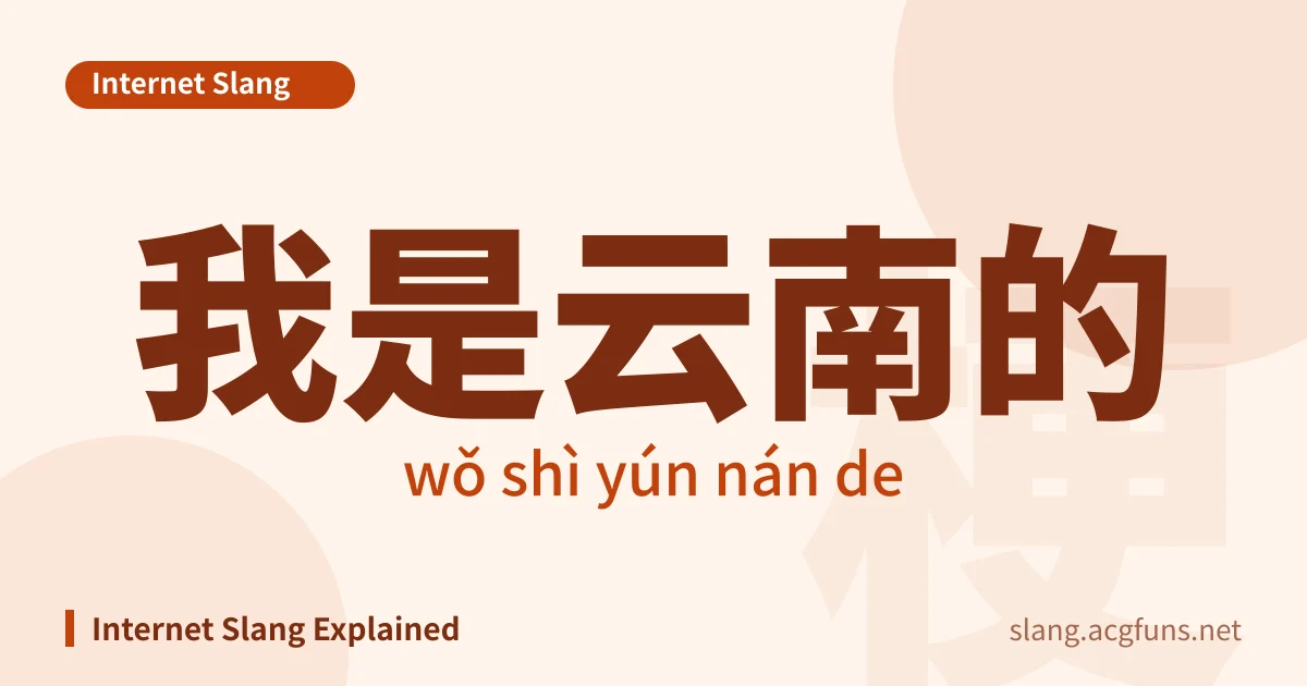 我是云南的 (wǒ shì yún nán de)