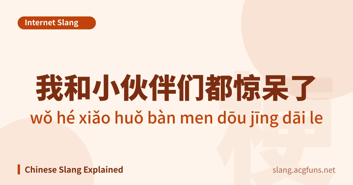 我和小伙伴们都惊呆了 (wǒ hé xiǎo huǒ bàn men dōu jīng dāi le)