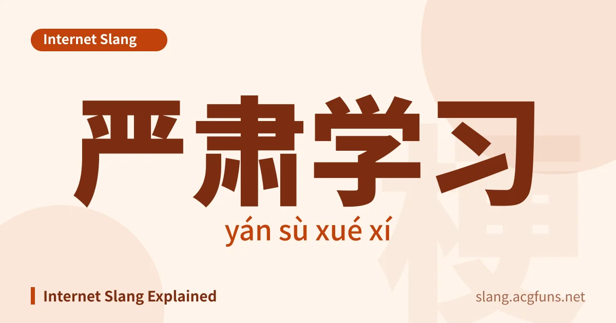 严肃学习 (yán sù xué xí)